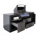 OASIS® Compact P500 Napoleon Cucina da Esterno con Barbecue e Zona SfrigolanteMD