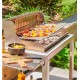 Le Marquier Irissarry Barbacoa de acero inoxidable con carro y asador