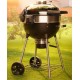 Napoleon charcoal grill PRO22